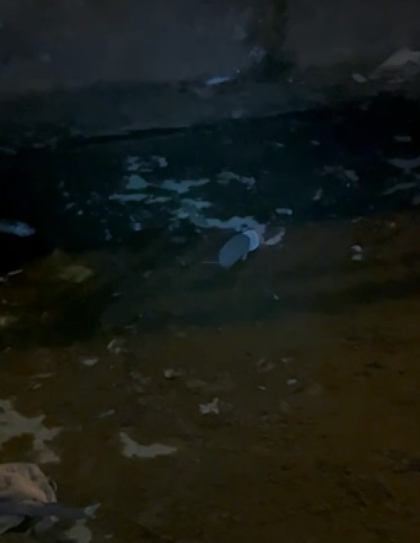 Dondurma kutusuna kafası sıkışan kirpiyi itfaiye kurtardı
