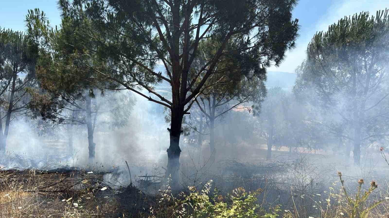 Bursa’daki yangın kontrol altına alındı