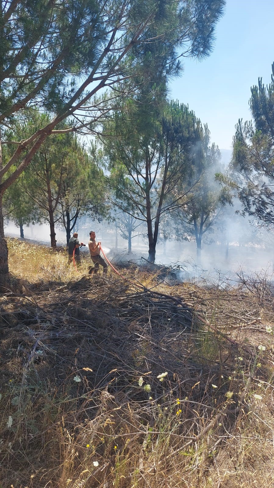 Bursa&rsquo;daki yangın kontrol altına alındı
