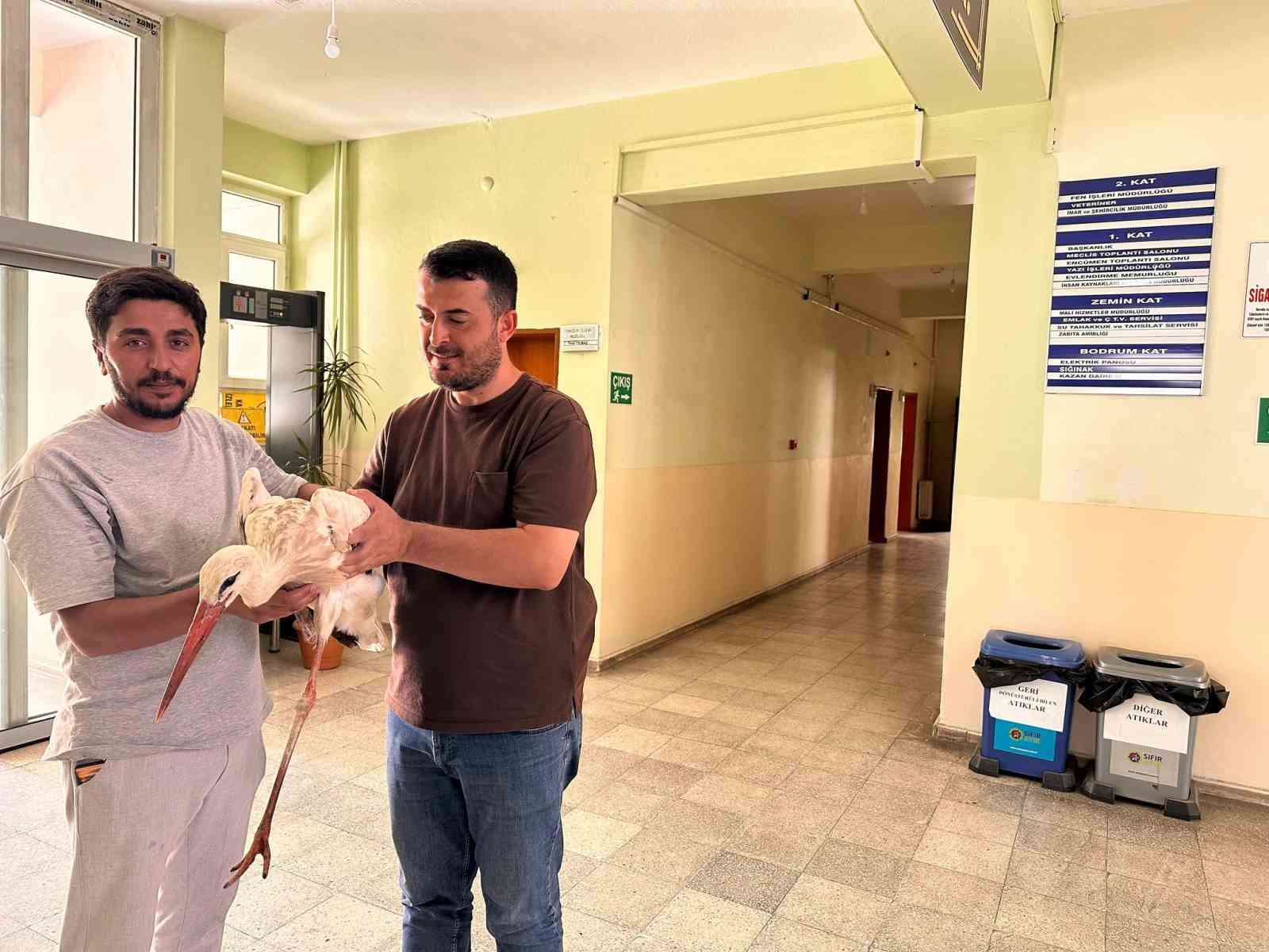 Bingöl’de yaralı leylek koruma altına alındı