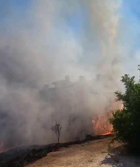 Ağaçlar cayır cayır yandı