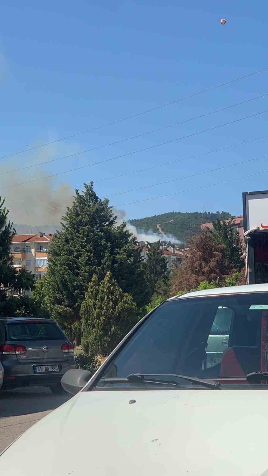 Kocaeli’de orman yangını çıktı
