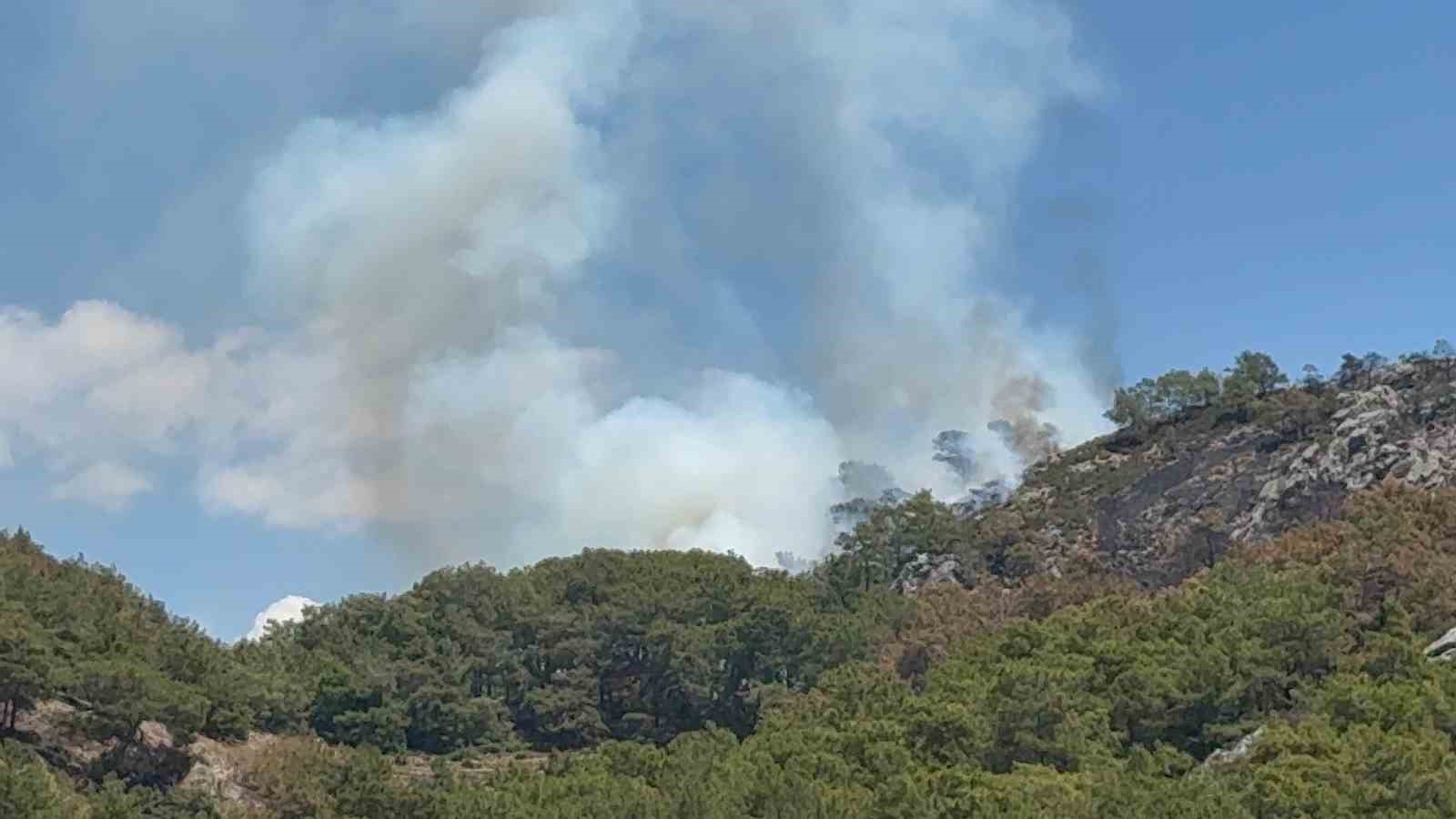 Gazipaşa’da ormanlık alanda yangın