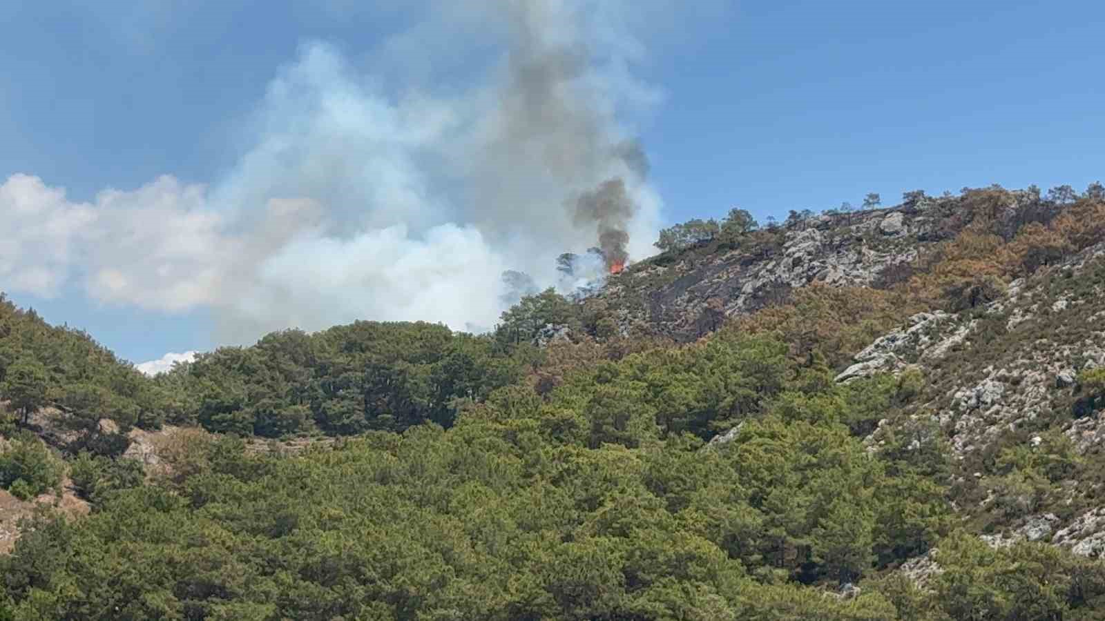 Gazipaşa&rsquo;da ormanlık alanda yangın
