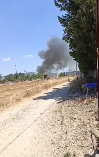 Antalya&rsquo;da &ccedil;ıkan yangında palmiye ağa&ccedil;ları k&uuml;le d&ouml;nd&uuml;
