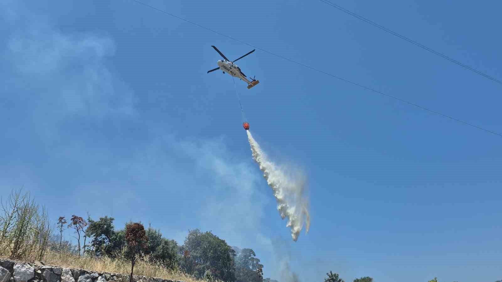 Bodrum’daki yangın büyümeden söndürüldü