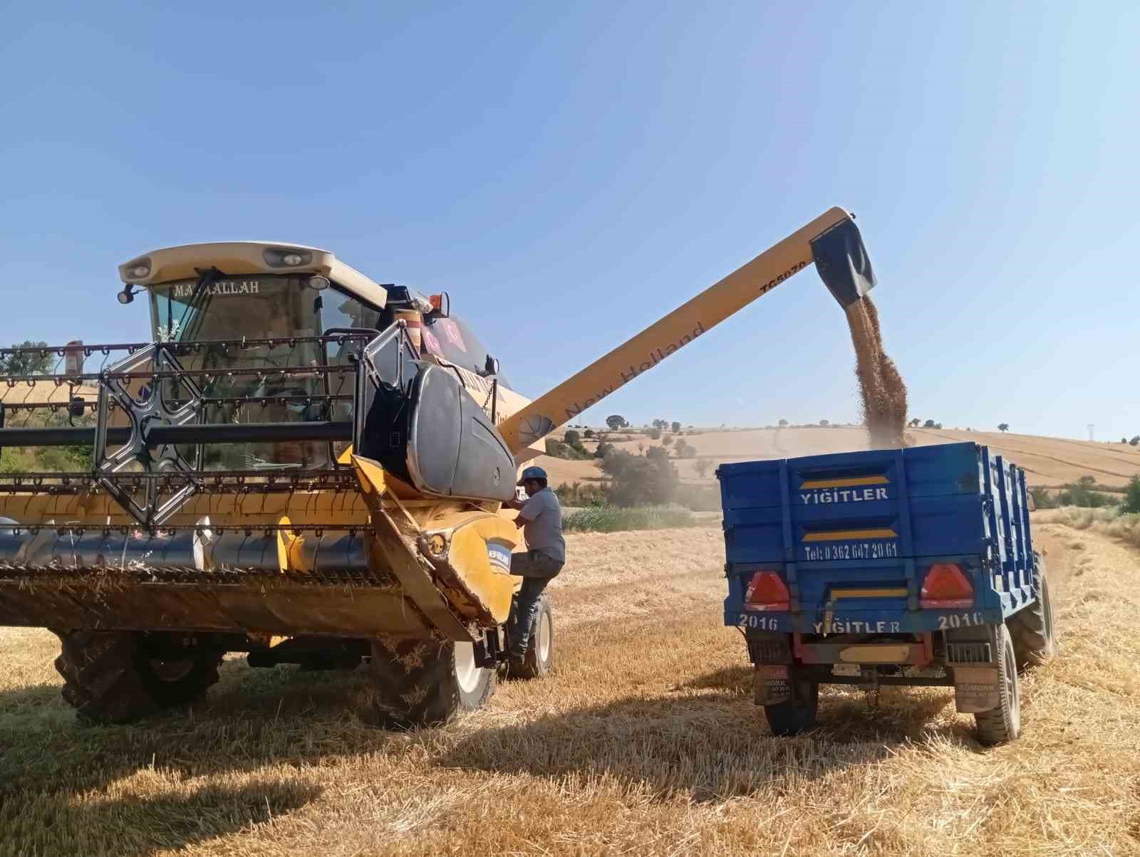 Vezirk&ouml;pr&uuml;&rsquo;de buğday hasadı başladı
