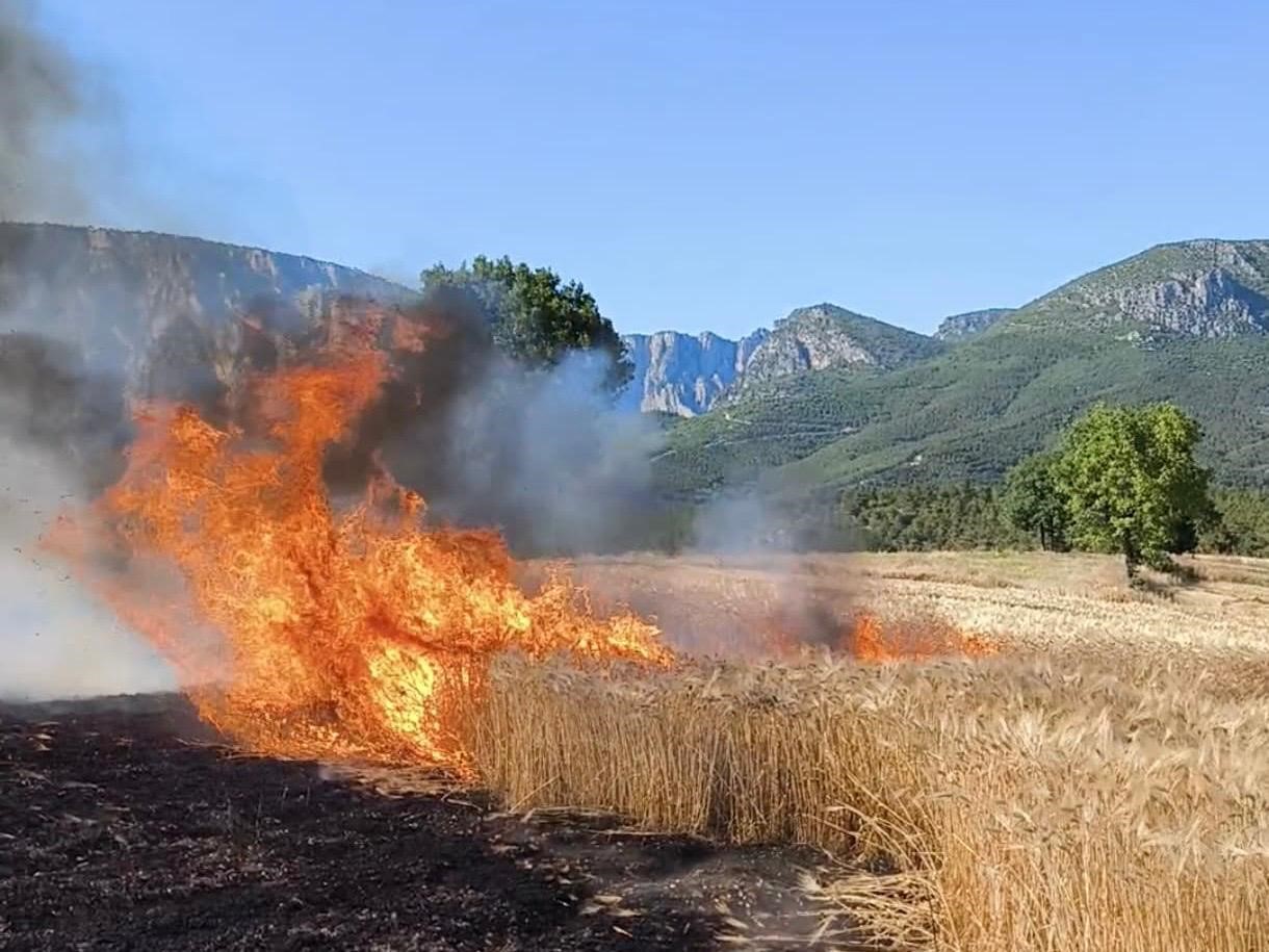 Samsun itfaiyesi, 6 ayda 263 orman ve anız yangınına müdahale etti
