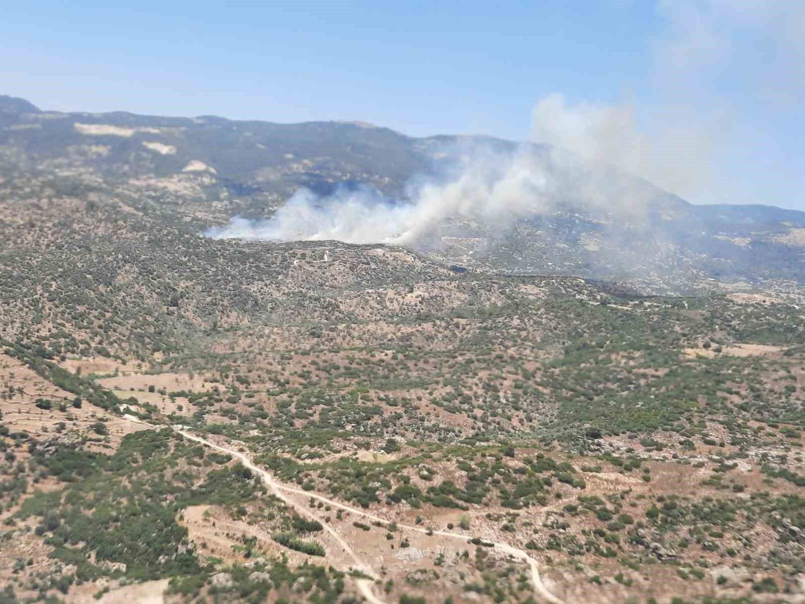 &Ccedil;ine&rsquo;de zeytinlik alanda yangın &ccedil;ıktı
