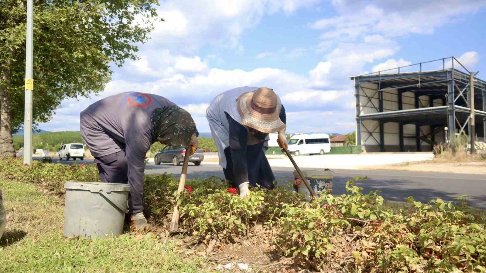 Yeşil alanlara kadın eli değiyor
