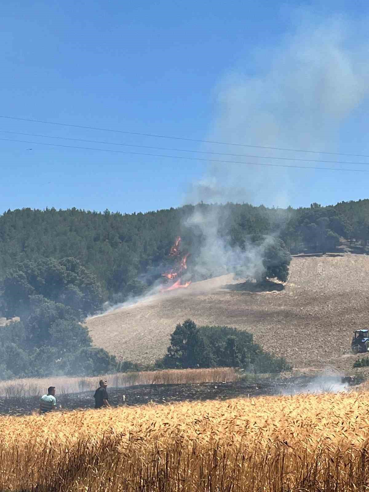 Gediz’de ekiplerin orman yangınıyla mücadelesi sürüyor