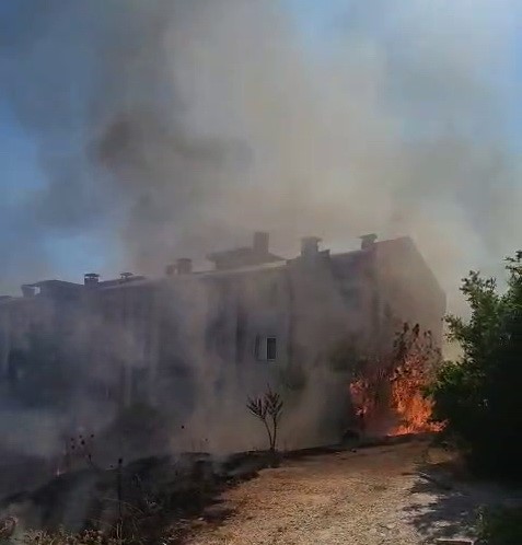 Ağaçlar cayır cayır yandı