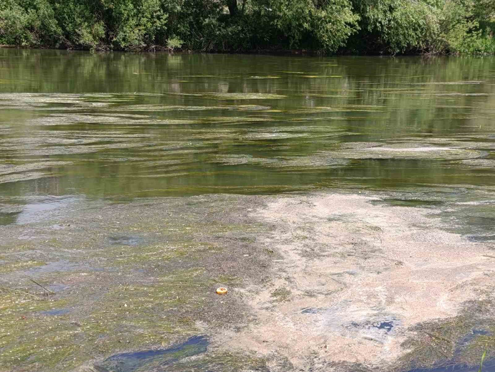 Kars &Ccedil;ayı&rsquo;nı yosun bastı
