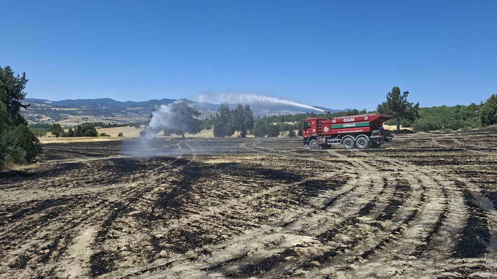 Hisarcık’ta biçerdöverden kaynaklanan yangın 30 dekar alanı kül etti