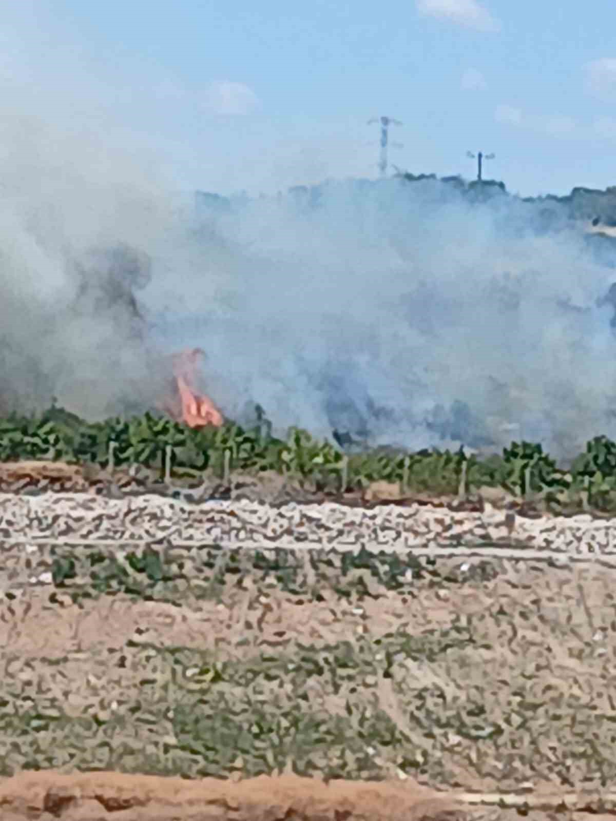 İneg&ouml;l&rsquo;deki orman yangını kontrol altına alındı
