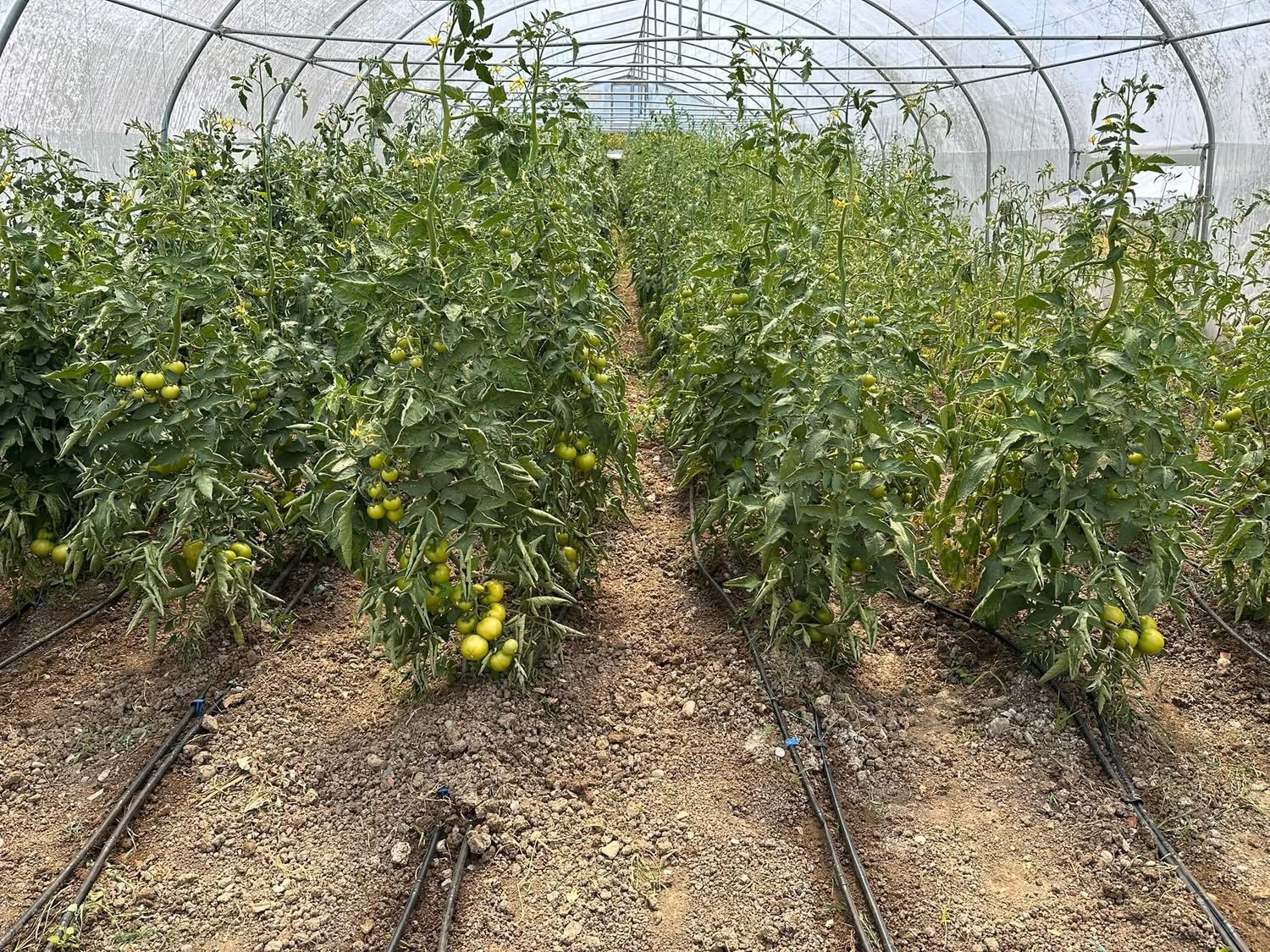 Çaycuma’da üretim güçlerini birleştirdiler