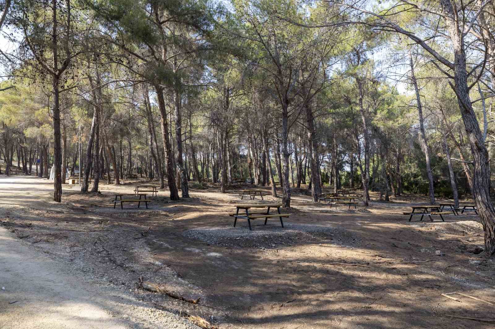 Mersin&rsquo;de Emirler Orman Parkı Piknik Alanı&rsquo;nda ateş yakmak yasaklandı
