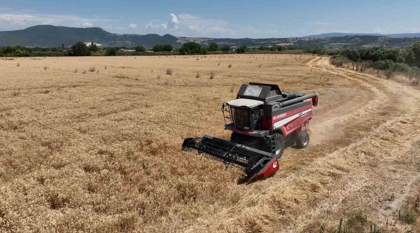 Bursa’da Büyükşehir desteği ile hasat zamanı