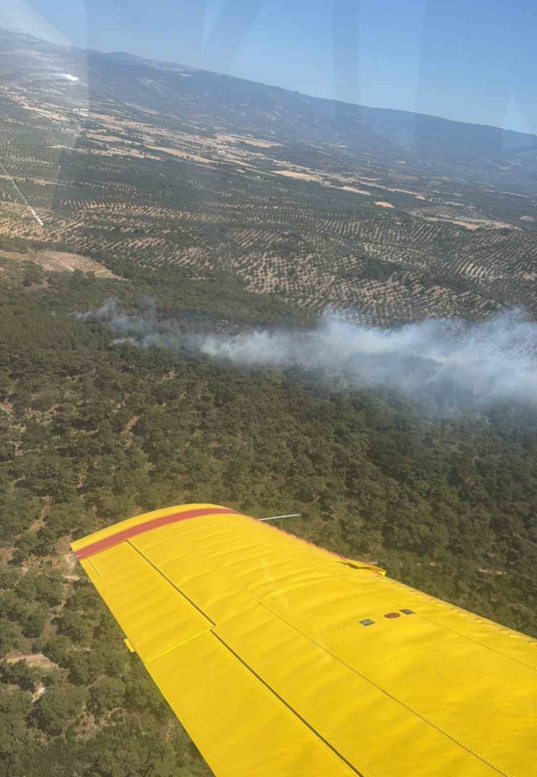 Burhaniye’de orman yangınına havadan ve karadan müdahale ediliyor