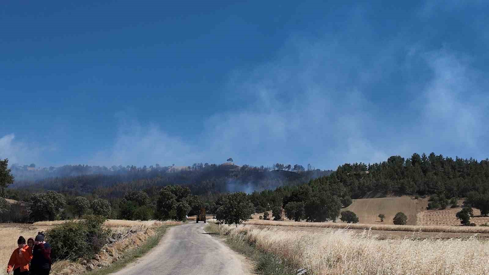 Kütahya’daki orman yangınını söndürme çalışmaları devam ediyor