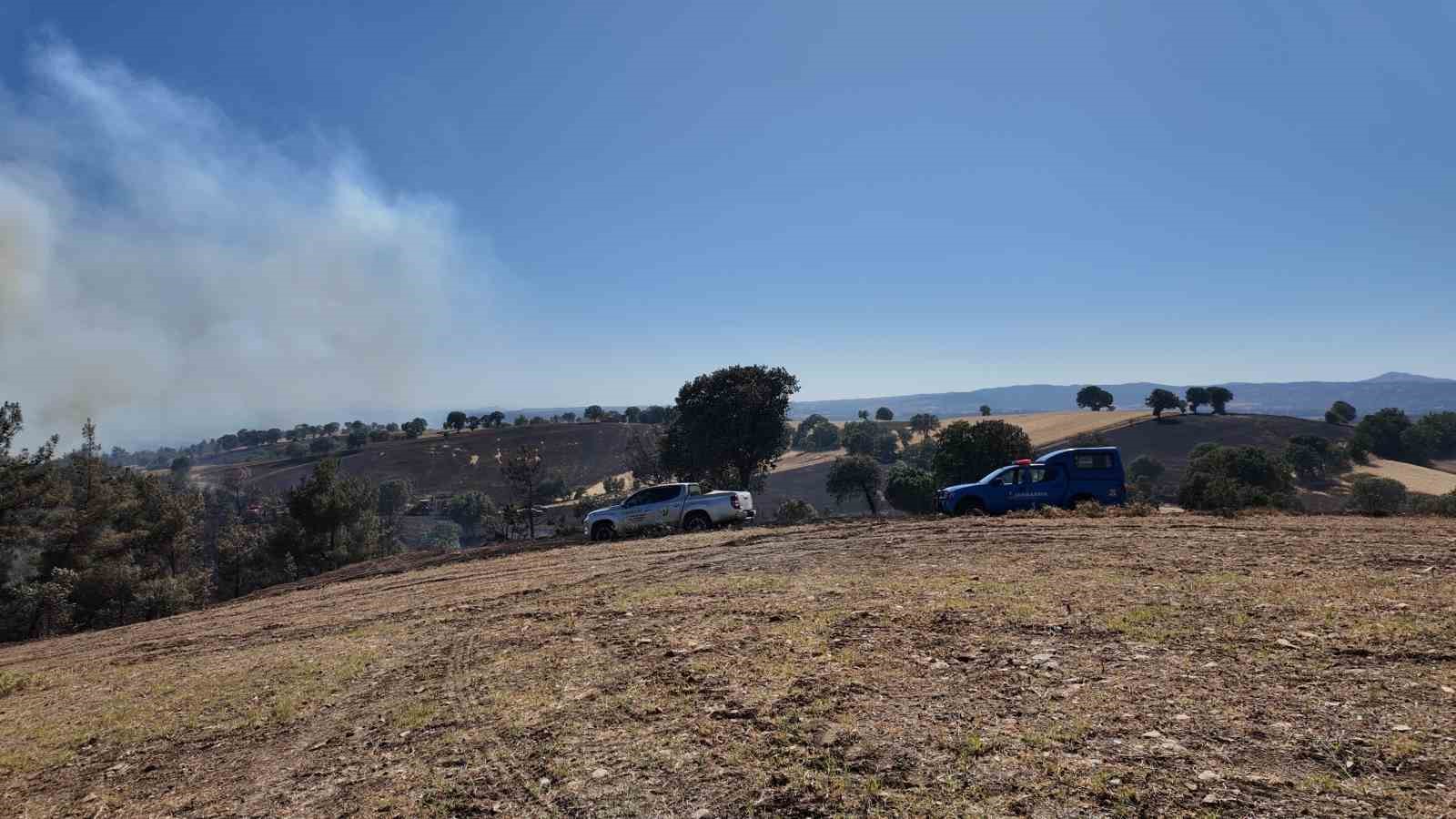 K&uuml;tahya&rsquo;daki orman yangınını s&ouml;nd&uuml;rme &ccedil;alışmaları devam ediyor
