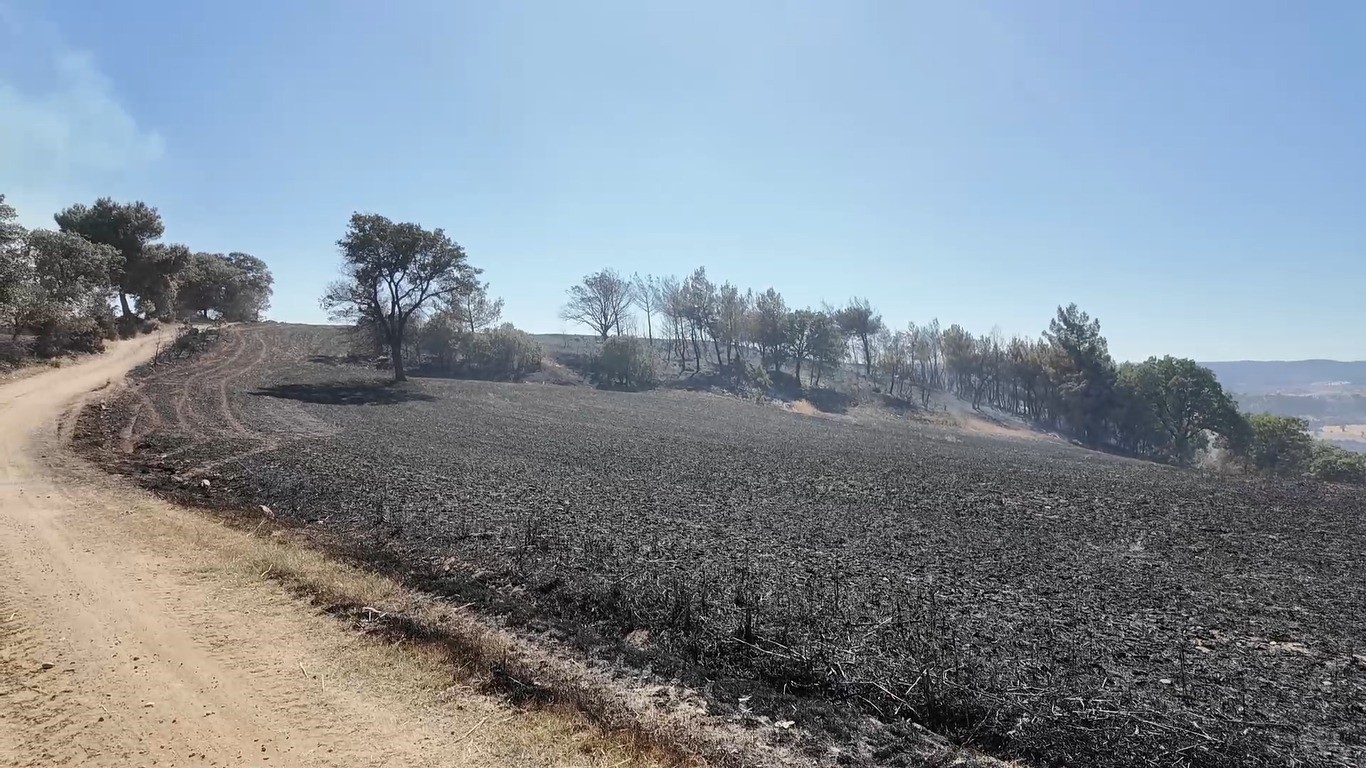 Kütahya’daki orman yangını kontrol altına alındı