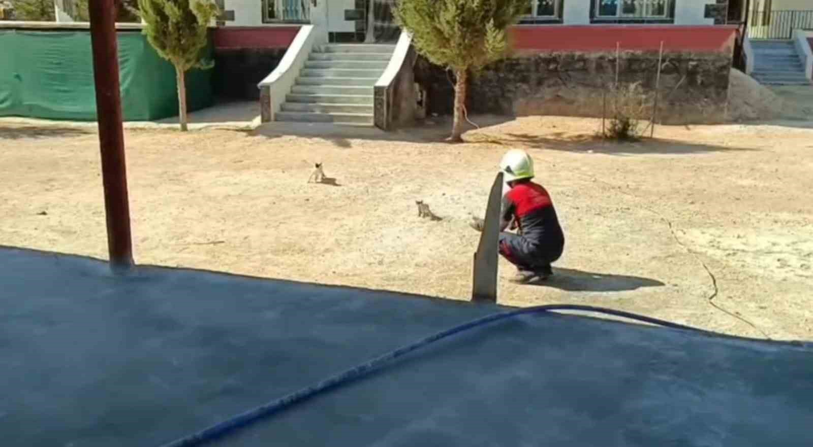 Şanlıurfa’da betonun altında mahsur kalan 2 kedi kurtarıldı