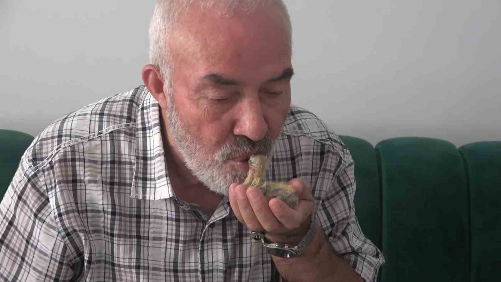 Ölmek üzereyken bulduğu kuşu ağzıyla besliyor