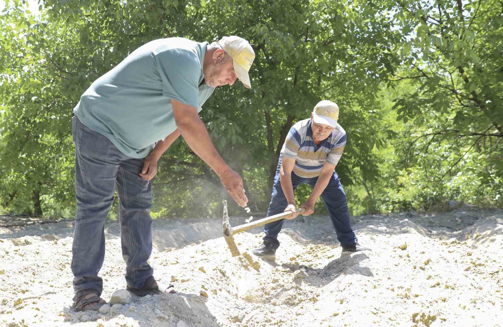 Mersin Büyükşehir Belediyesinden Gülnar’da yerel tohuma destek
