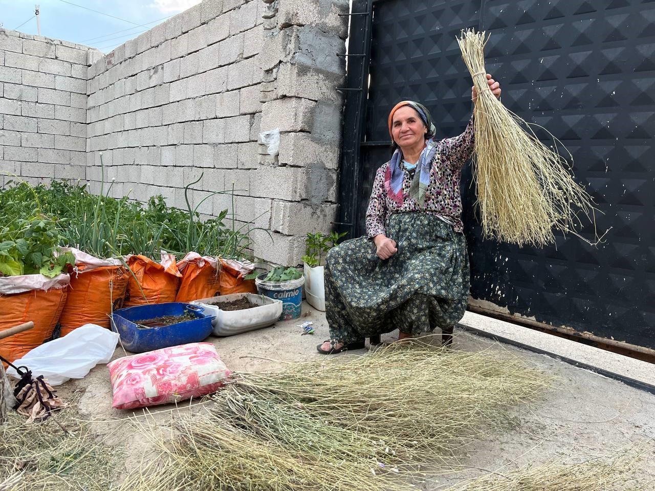 Ata mirasını yaşatıyor: Ot s&uuml;p&uuml;rgesi geleneğini s&uuml;rd&uuml;r&uuml;yor
