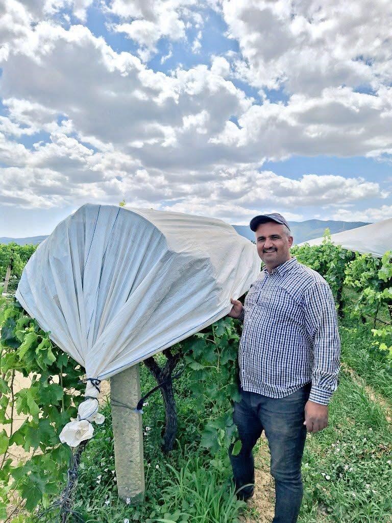 Bağ örtücülerin üç kelimelik komut sistemi