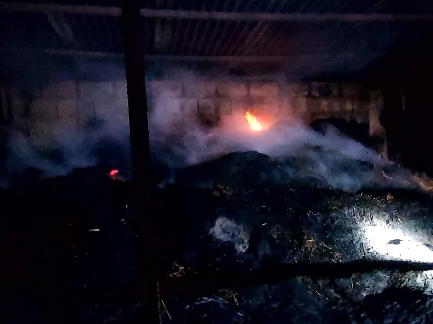 Adana’da yangında 5 inek telef oldu