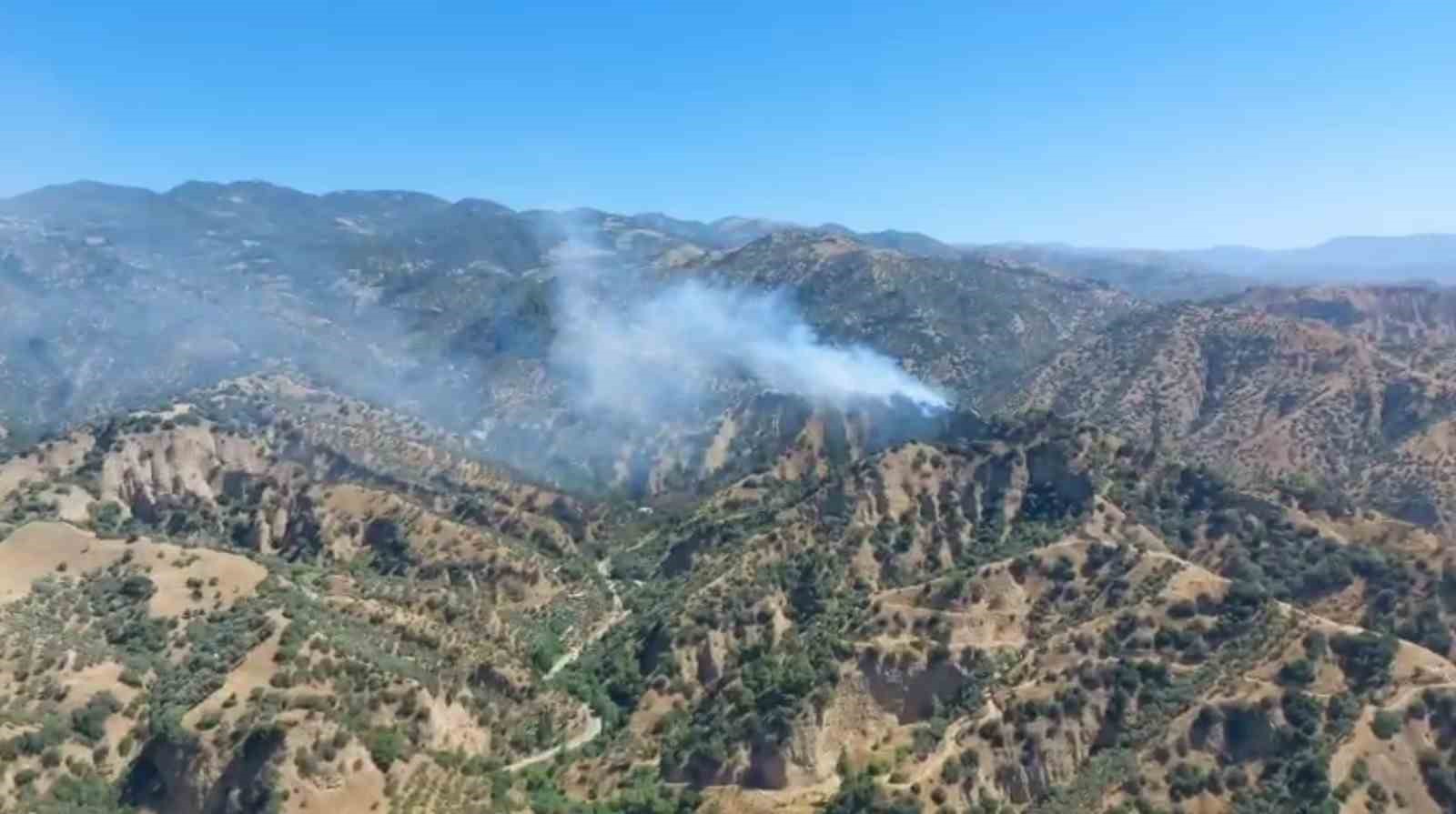 Zeytinlik alanda yangın çıktı, müdahale sürüyor