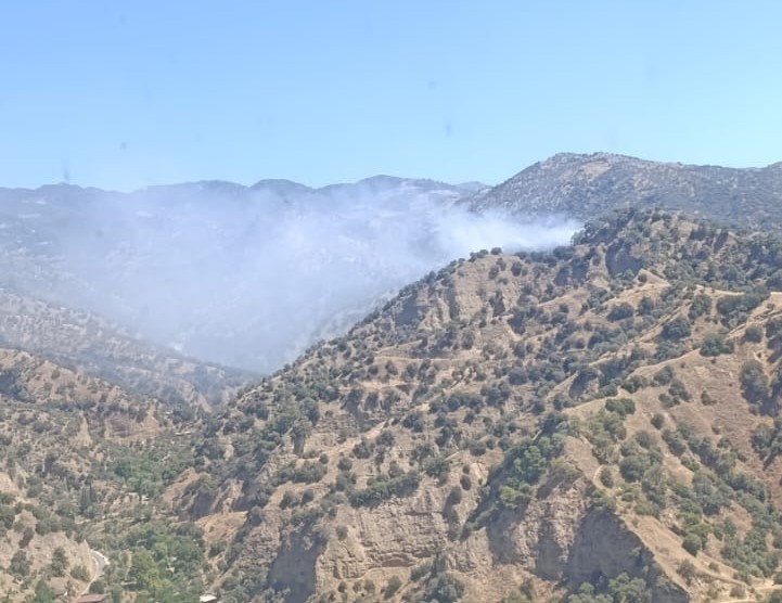 Zeytinlik alanda yangın çıktı, müdahale sürüyor
