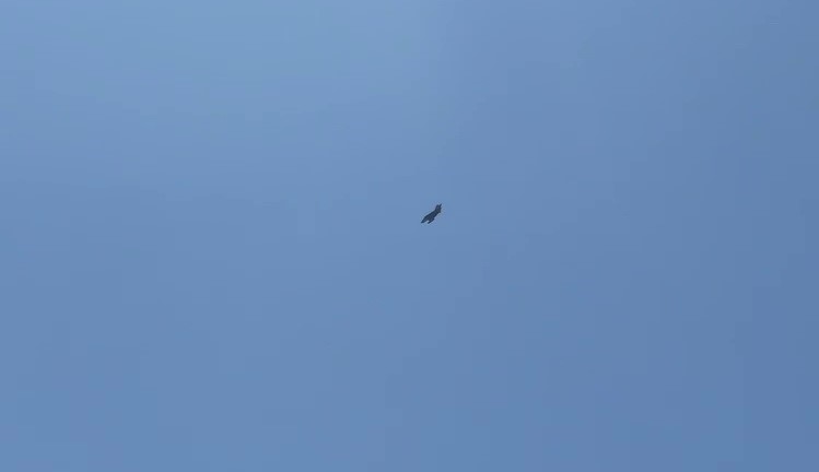 Adıyaman’da F16 savaş uçağı nefes kesti