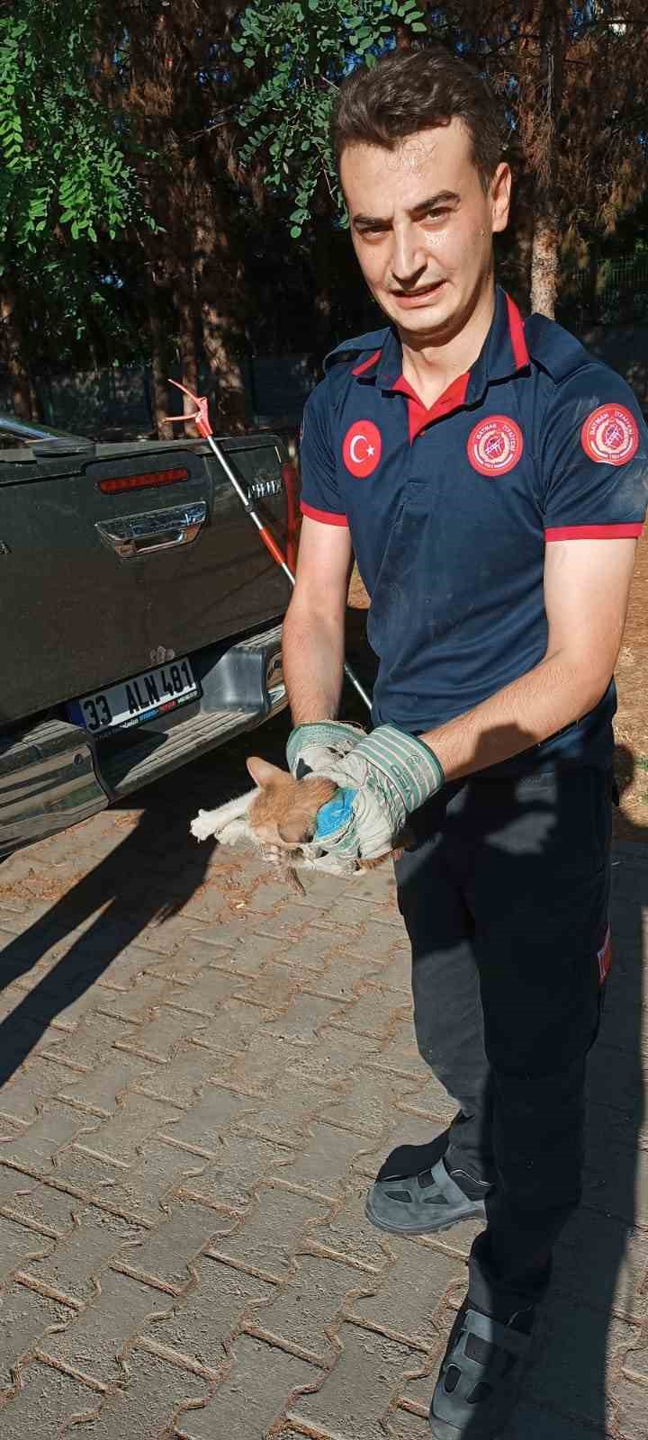 Batman&rsquo;da otomobilin motoruna sıkışan kediyi itfaiye kurtardı
