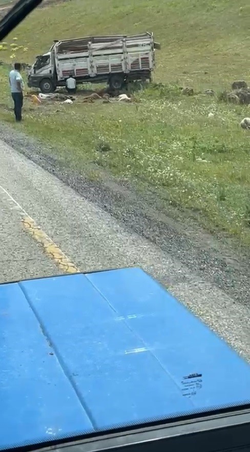 Sarıkamış’ta kamyonet devrildi