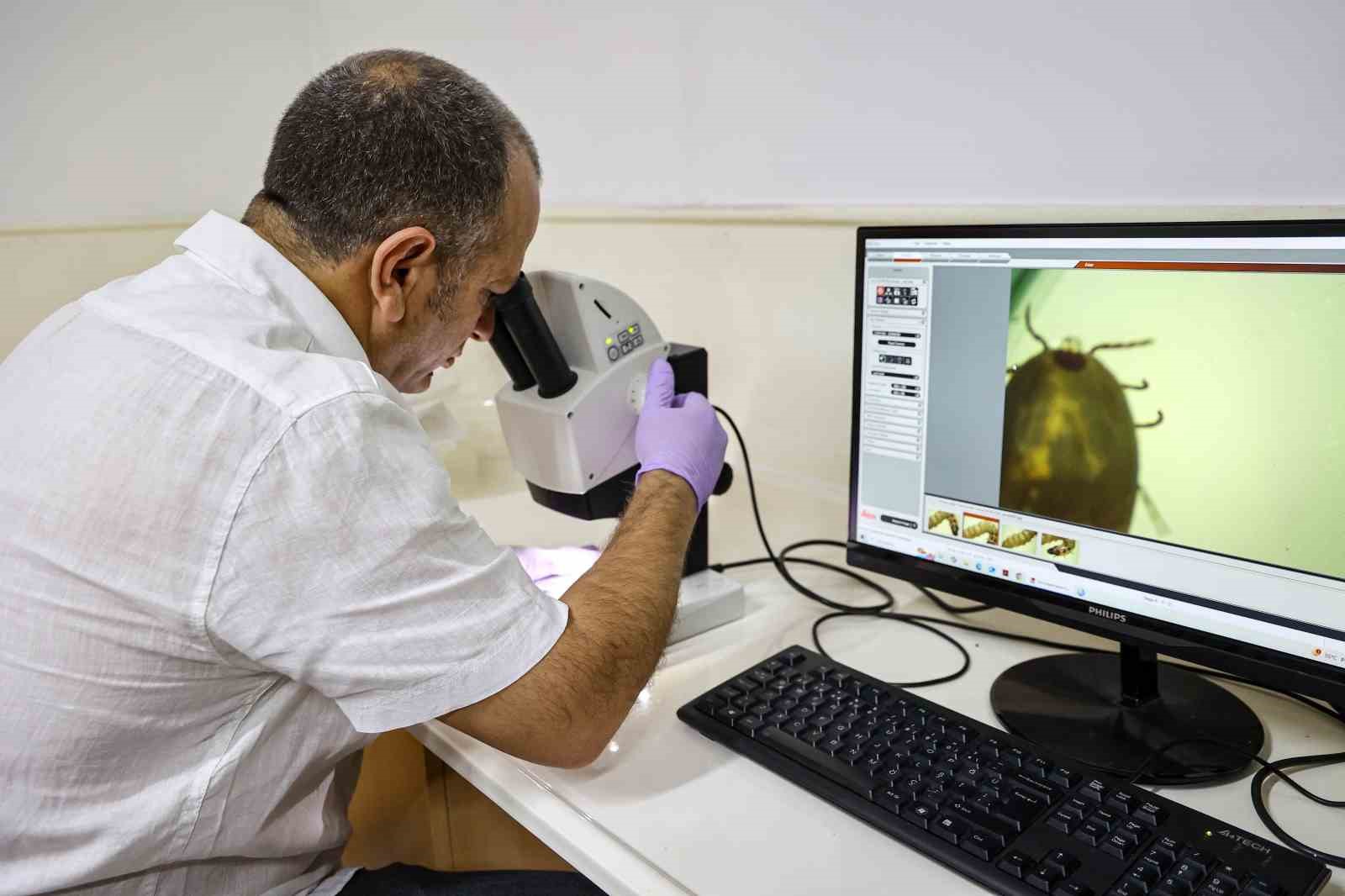 Antalya&rsquo;da haşerelere karşı m&uuml;cadele &ccedil;alışmaları mesire alanlarında da s&uuml;r&uuml;yor
