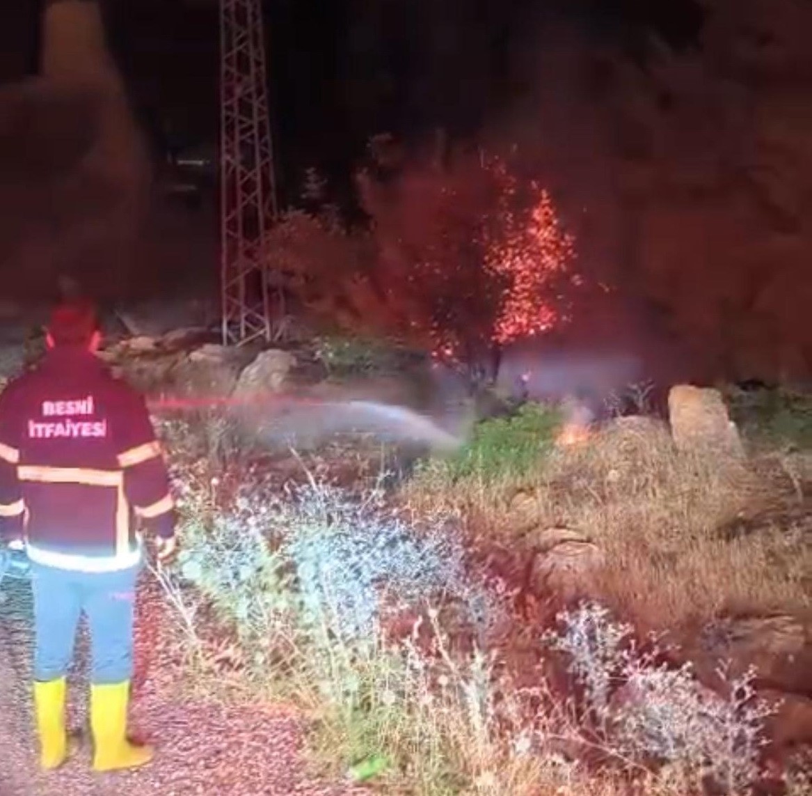 Besni’de 600 dönümlük ormanlık alan küle döndü