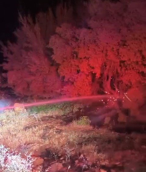 Besni&rsquo;de 600 d&ouml;n&uuml;ml&uuml;k ormanlık alan k&uuml;le d&ouml;nd&uuml;
