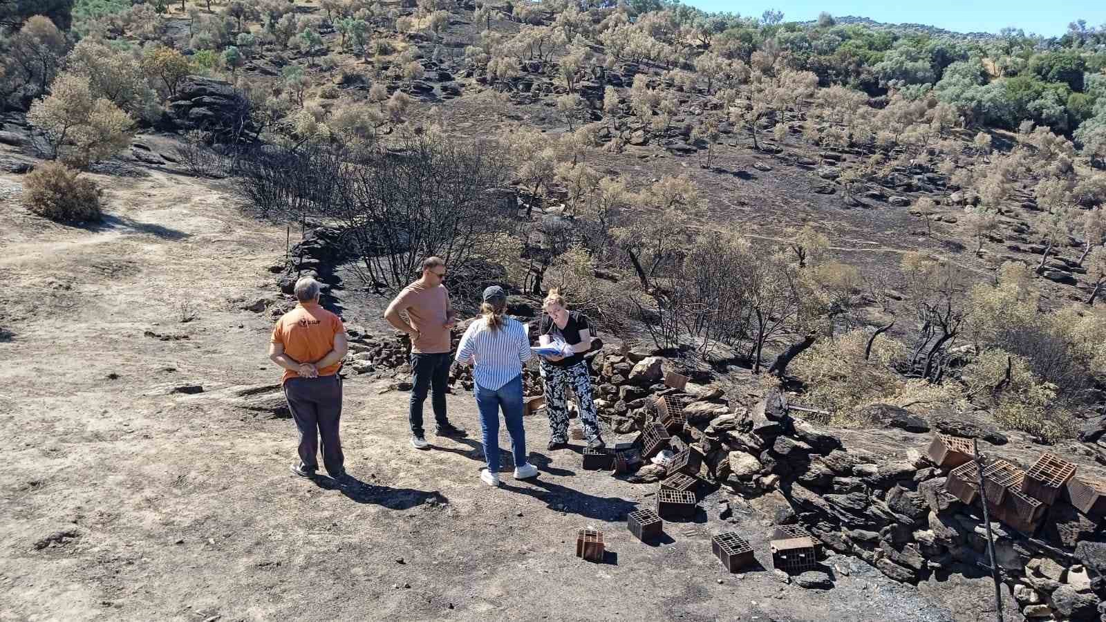 Yangın bölgesinde zarar tespiti yapıldı