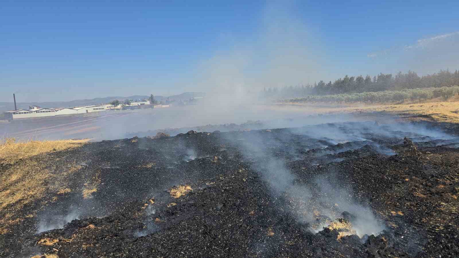 İslahiye&rsquo;de 150 d&ouml;n&uuml;m arazi k&uuml;l oldu
