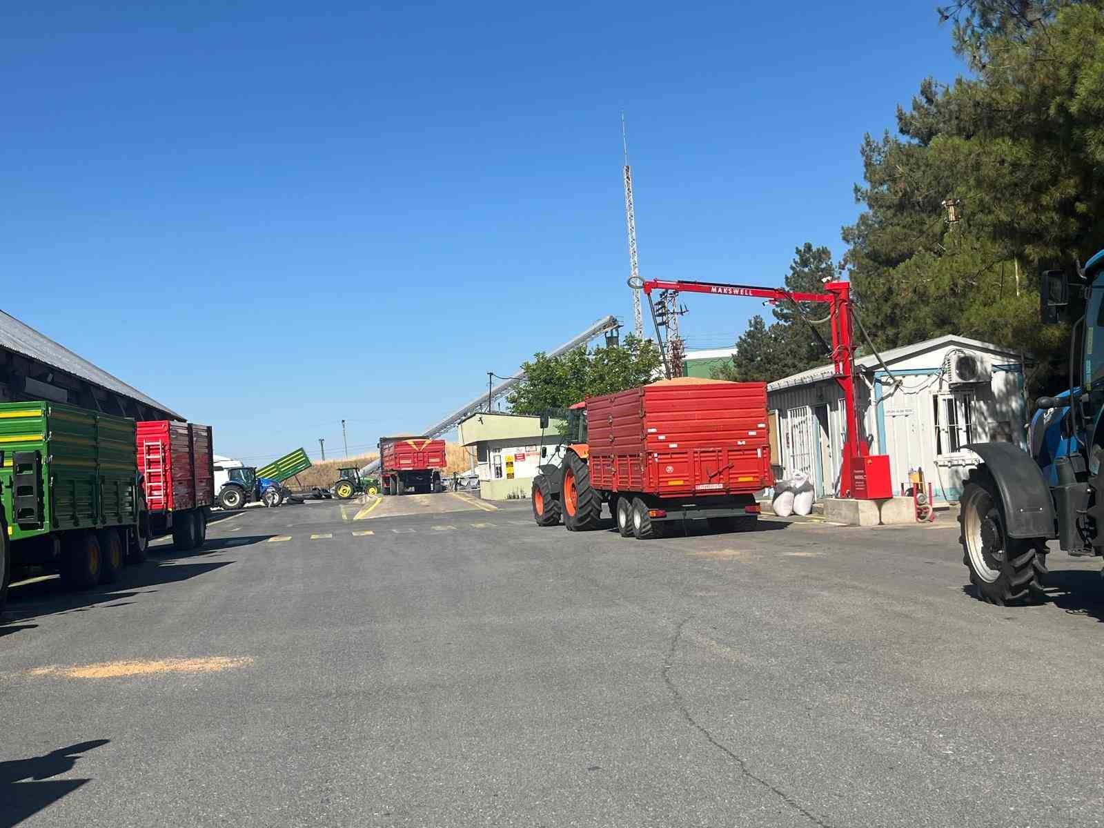 TMO’da randevulu buğday alımı başladı