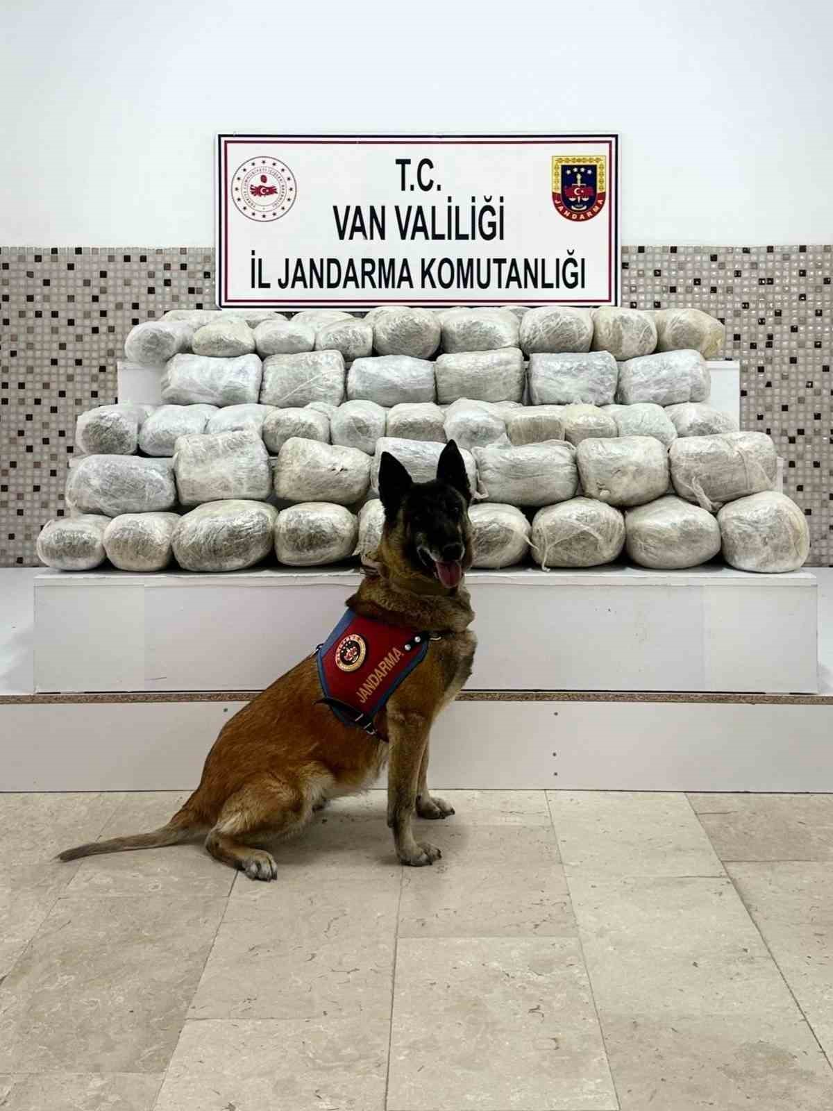 İran&rsquo;dan katırla yurda sokulan 97 kilogram uyuşturucuya 1 g&ouml;zaltı
