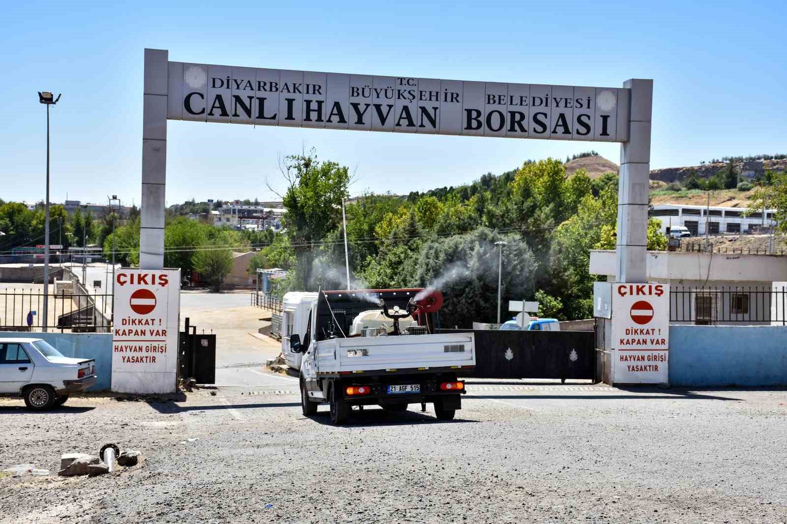 Diyarbakır’da kapatılan Canlı Hayvan Borsası ilaçlanıp dezenfekte edildi