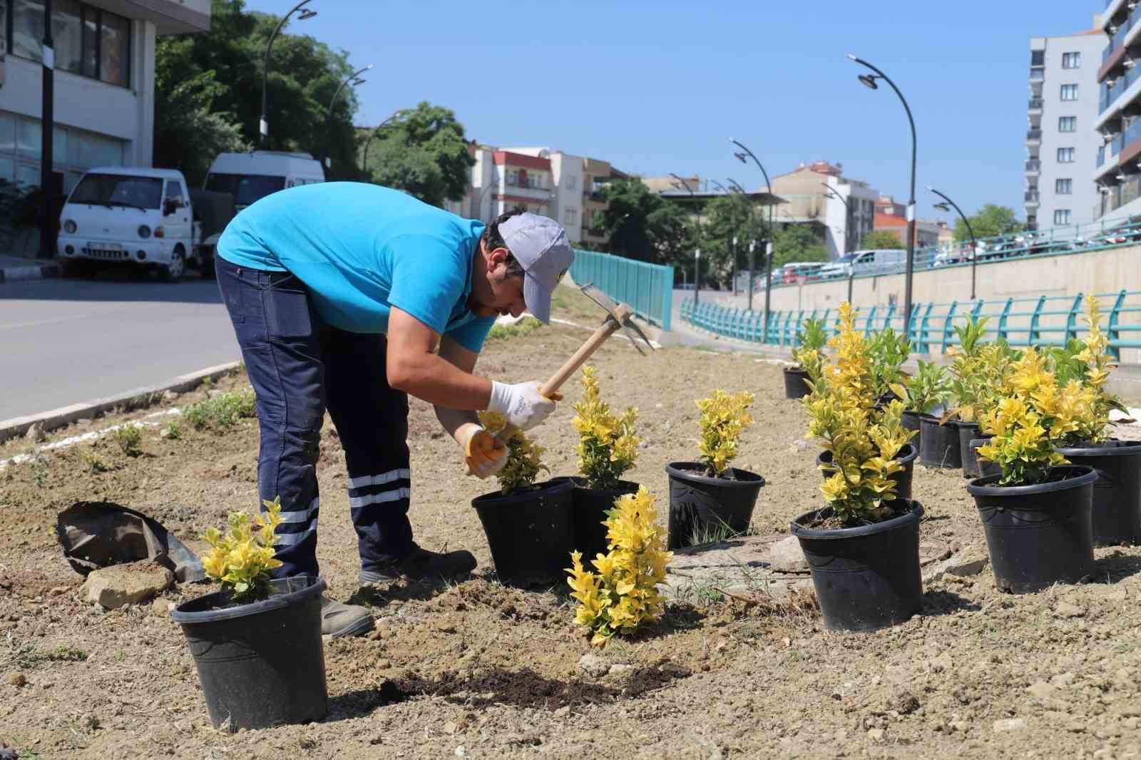 Turgutlu Belediyesi Park ve Bahçeler Müdürlüğü ekipleri kenti güzelleştiriyor