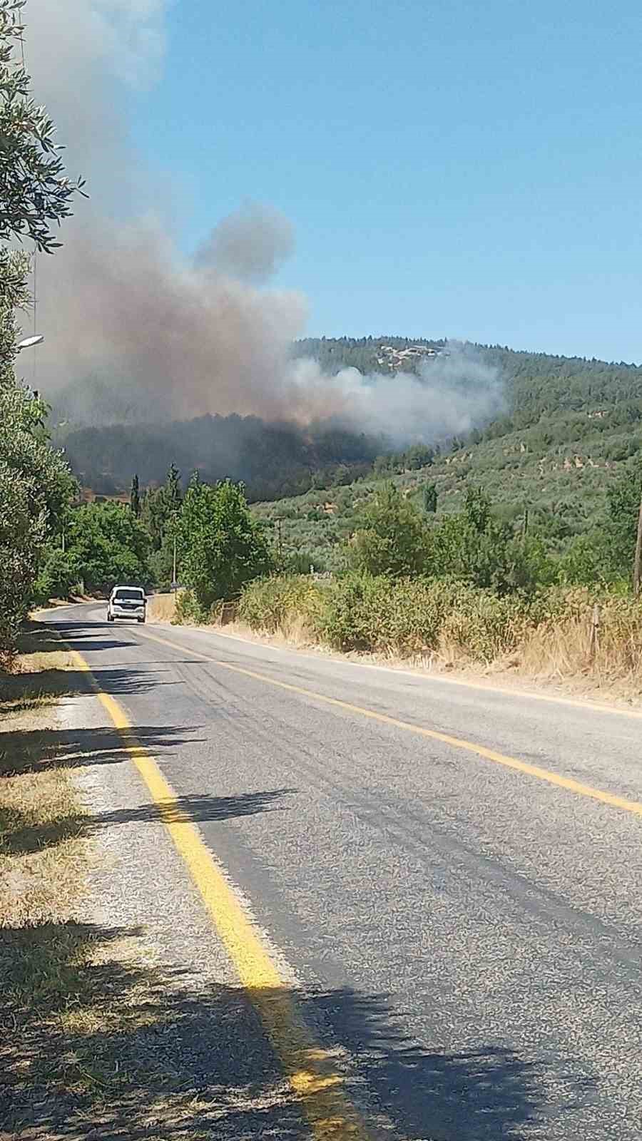 Muğla&rsquo;da orman yangını
