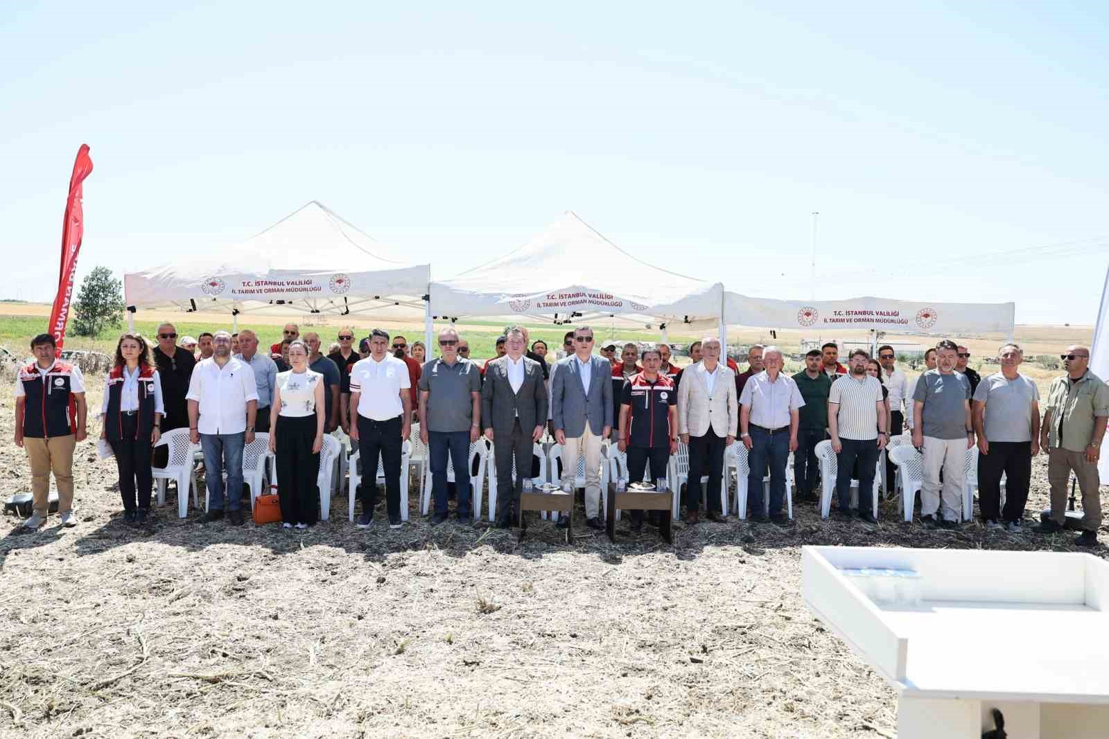 Silivri&rsquo;de konala ve buğday hasadı başladı
