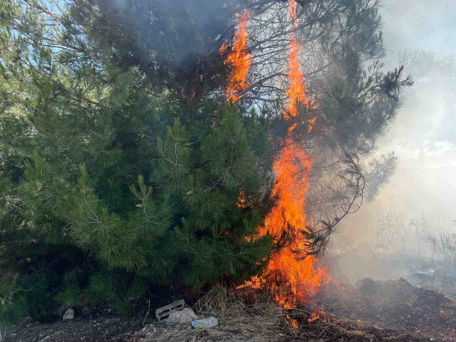 &Ccedil;eşme yangınında m&uuml;dahale iyiye gidiyor
