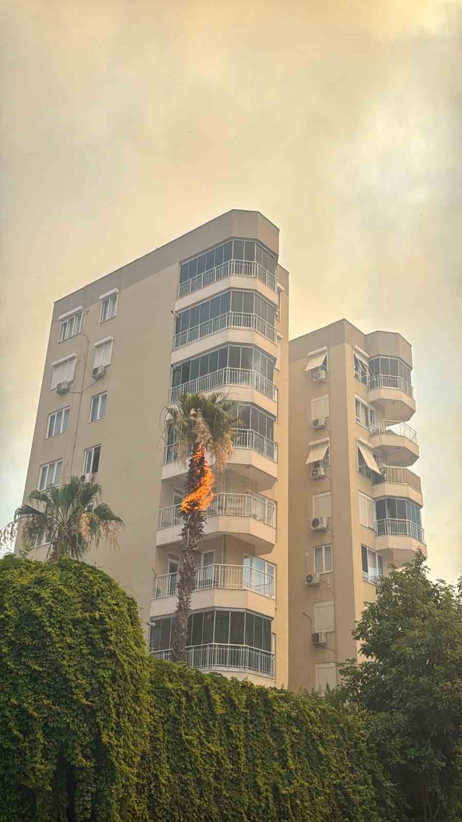 Orman yangınında alev alan 6. kattaki evin balkonuna TOMA m&uuml;dahalesi
